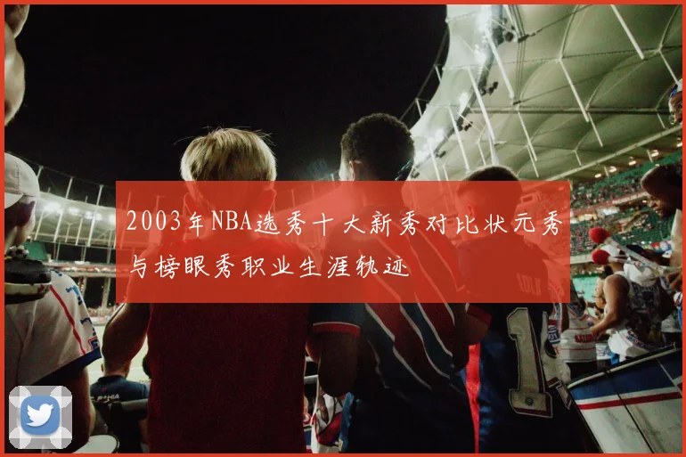 2003年NBA选秀十大新秀对比状元秀与榜眼秀职业生涯轨迹
