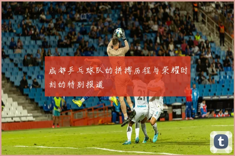 成都乒乓球队的拼搏历程与荣耀时刻的特别报道